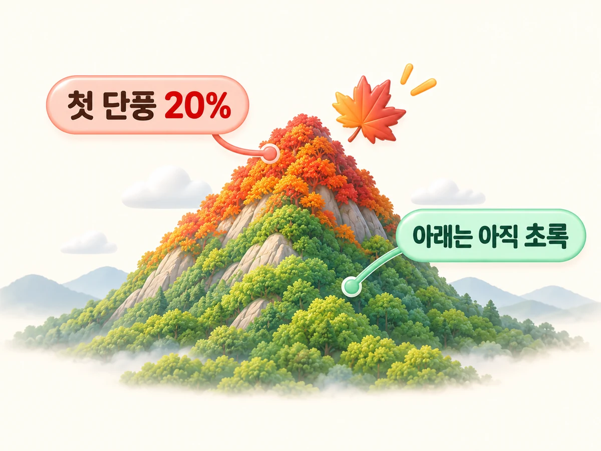 산 정상 쪽만 단풍이 들고 아래는 아직 초록인 모습, 첫 단풍은 산의 20%가 물든 상태라는 안내 그림